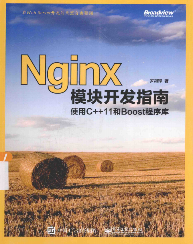 Nginx模块开发指南:使用C++11和Boost程序库 pdf_服务器教程-白嫖收集分享