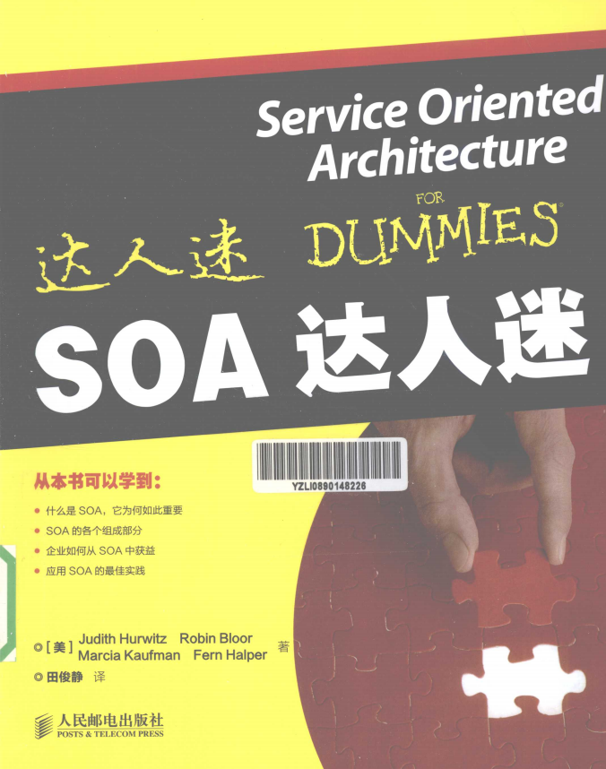 SOA达人迷（服务器架构书） PDF_服务器教程-白嫖收集分享