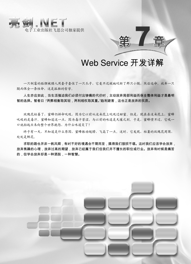 WebService开发详解 亮剑.Net_NET教程-白嫖收集分享