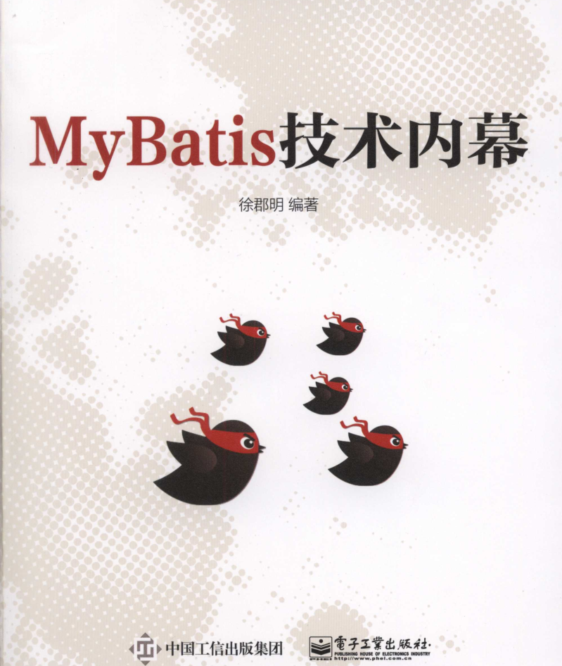 MyBatis技术内幕-白嫖收集分享