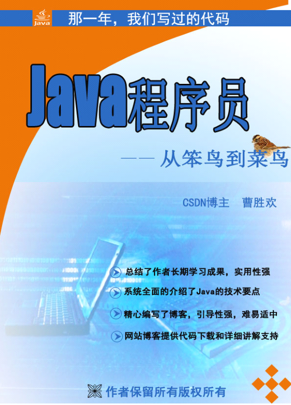 《java程序员由菜鸟到笨鸟》PDF 下载-白嫖收集分享