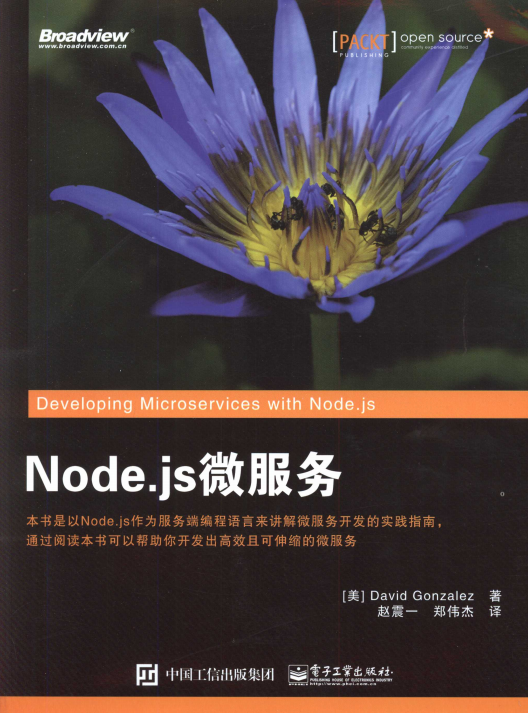 Node.js微服务 完整pdf_前端开发教程-白嫖收集分享