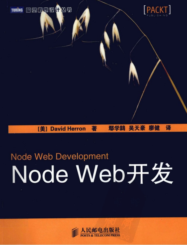 Node Web开发 中文PDF_前端开发教程-白嫖收集分享