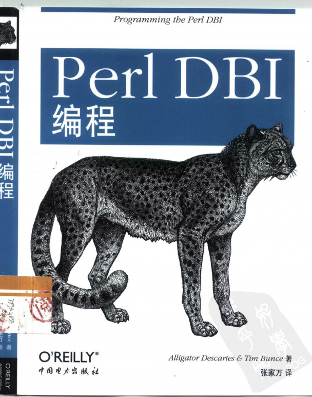 Perl DBI编程 中文PDF_数据库教程-白嫖收集分享