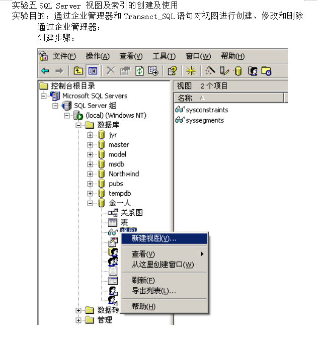 SQL Server 视图及索引的创建及使用_数据库教程-白嫖收集分享