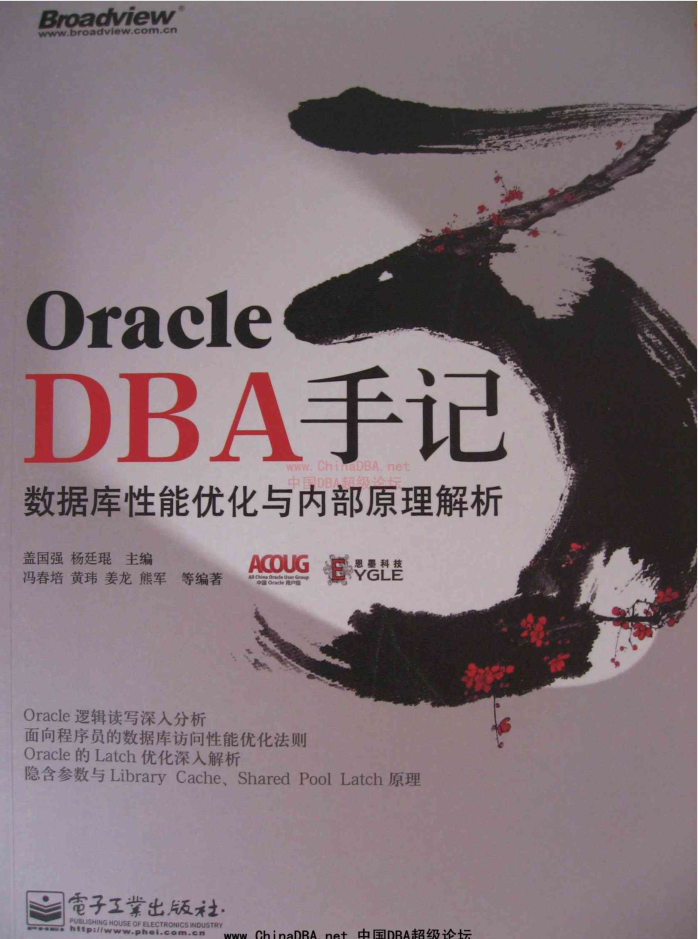 Oracle DBA手记3：数据库性能优化与内部原理解析_数据库教程-白嫖收集分享