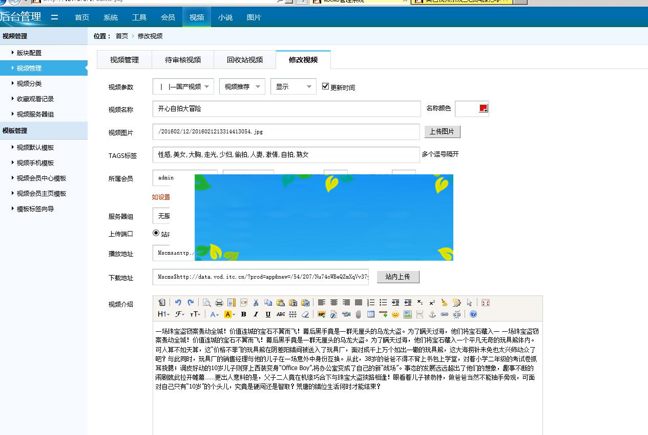 图片[4]-最新美色CMS视频系统解密版下载 四套PC/WAP模板_源码下载-白嫖收集分享