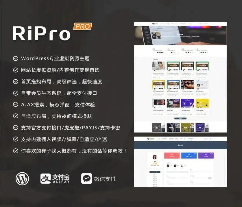 C225 wordpress主题_WordPress主题ripro8.7日主题去除授权版-白嫖收集分享