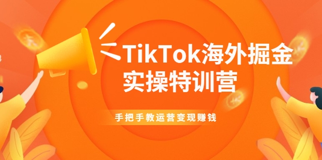 TikTok海外掘金实操特训营：手把手教运营变现赚钱-白嫖收集分享