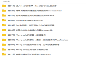非关系型的数据库NoSQL从入门到精通视频教程-白嫖收集分享