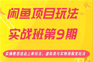 闲鱼项目玩法实操教程 教您选品上虚拟类与实物类裂变玩法-白嫖收集分享