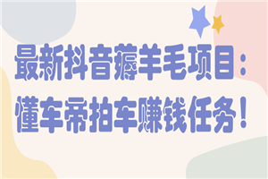 最新抖音薅羊毛项目：懂车帝拍车赚钱任务！【视频教程】-白嫖收集分享