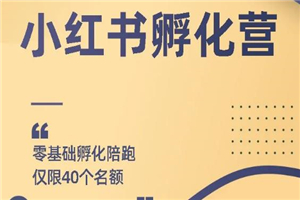 勇哥小红书撸金快速起量项目：教你如何快速起号获得曝光，做到月躺赚在 3000+-白嫖收集分享