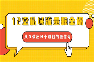 12堂私域流量掘金课：从0做出N个赚钱的微信号【完结】-白嫖收集分享