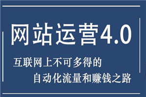 暴疯团队网站赚钱项目4.0:网站运营与盈利 实现流量与盈利自动化的赚钱之路-白嫖收集分享