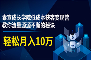 素宣成长学院低成本获客变现营，教你流量源源不断的秘诀，轻松月入10万-白嫖收集分享