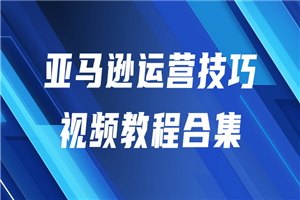 亚马逊运营技巧视频教程合集-白嫖收集分享