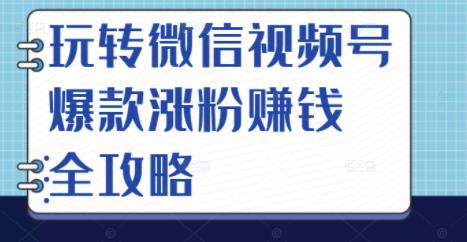 玩转微信视频号爆款涨粉赚钱全攻略，让你快速抓住流量风口，收获红利财富-白嫖收集分享