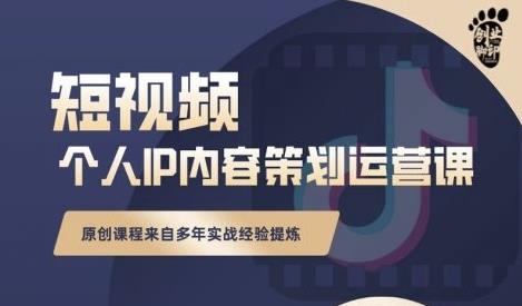 抖音短视频个人ip内容策划实操课，真正做到普通人也能实行落地-白嫖收集分享