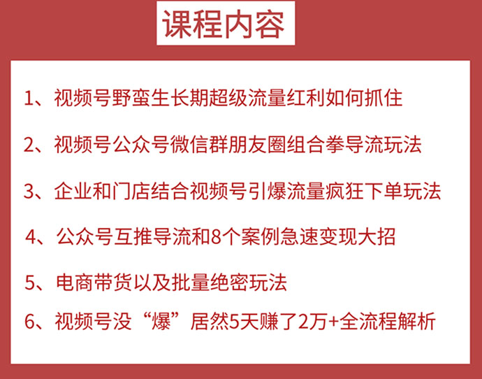 视频号训练营第2期：引爆流量疯狂下单，5天赚2万+全流程解析-白嫖收集分享