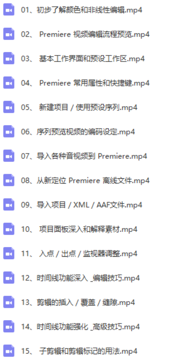 玩抖音必学：premier全套学习课程-白嫖收集分享
