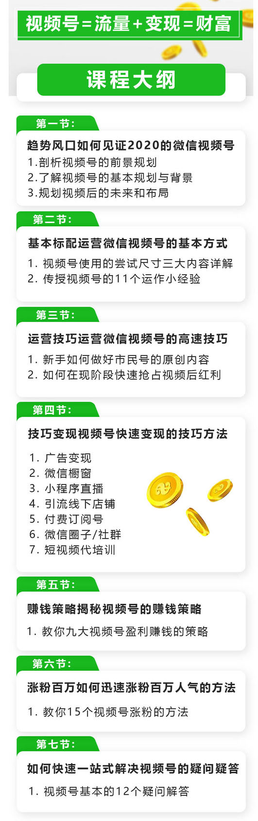 玩转微信视频号赚钱：小白变大咖 涨粉百万 实现快速变现1000万的现金流-白嫖收集分享