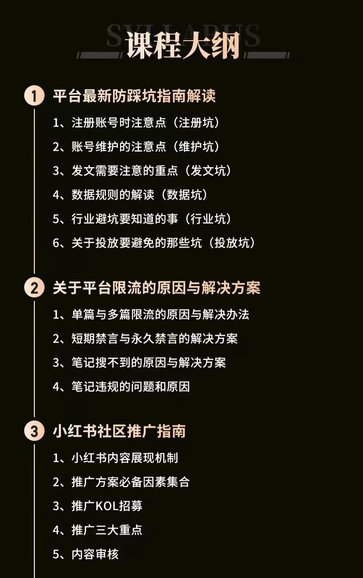 小红书穿透式营销收割攻略+防踩坑+推广+引爆流量+爆文创作等等！-白嫖收集分享