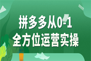 拼多多从0-1全方位运营实操-白嫖收集分享