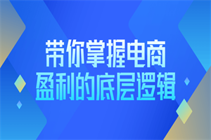 带你掌握电商盈利的底层逻辑-白嫖收集分享