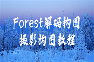 Forest解码构图摄影构图教程-白嫖收集分享