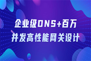 企业级DNS+百万并发高性能网关设计-白嫖收集分享