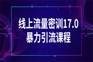 线上流量密训17.0暴力引流课程-白嫖收集分享