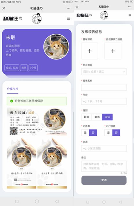 最新流浪猫流浪狗H5完整版程序源码下载/可封装APP-白嫖收集分享